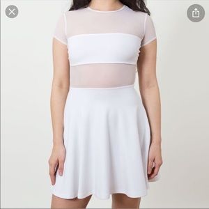 American Apparel White Mesh Skater Dress